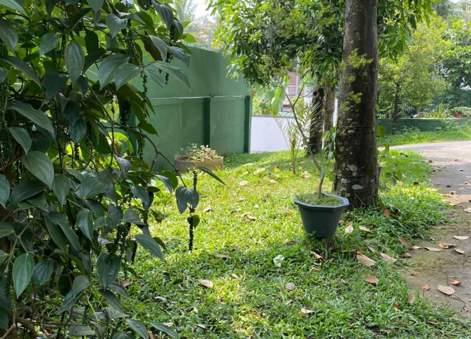 Tranquilou Homestay Thekkady Índia